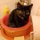 anna@serm-orm.ru